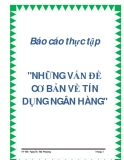 Báo cáo thực tập "Những vấn đề cơ bản về tín dụng ngân hàng"