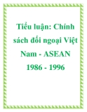 Tiểu luận: Chính sách đối ngoại Việt Nam - ASEAN 1986 - 1996