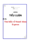 Tìm hiểu về Stand Alone Express