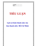 Tiểu luận: Lịch sử hình thành nhà văn hóa thanh niên  Hồ Chí Minh