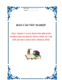 Báo cáo thực tập :Thực trạng và giải pháp xóa đói giảm nghèo cho người nông dân nông thôn xã Cẩm Sơn, huyện Cẩm Xuyên, Hà Tĩnh