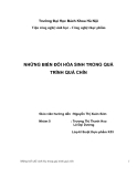 Tiểu luận: Những biến đổi hóa sinh trong quá trình quả chín