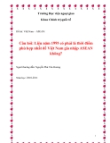Tiểu luận " Liệu năm 1995 có phải là thời điểm phù hợp nhất để Việt Nam gia nhập ASEAN không? "