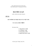 Tiểu luận "QUÁ TRÌNH GIA NHẬP ASEAN CỦA VIỆT NAM "