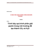 Bài tập thảo luận: " Vi sinh ứng dụng trong công nghệ môi trường"