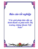 Báo cáo tốt nghiệp“Các giải pháp thúc đẩy sự hình thành và phát triển Thị trường chứng khoán Việt Nam”
