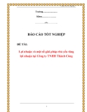 Báo cáo tốt nghiệp: Lợi nhuận và một số giải pháp chủ yếu tăng lợi nhuận tại công ty TNHH Thành Công