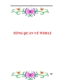 TỔNG QUAN VỀ WIMAX