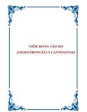 VIÊM MÀNG NÃO DO ANGIOSTRONGYLUS CANTONENSIS