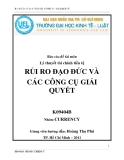 Báo cáo: Rủi ro đạo đức và các công cụ giải quyết