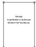 Tiểu luận - Tỷ giá hối đoái và vấn đề tỷ giá hối đoái ở Việt Nam hiện nay