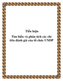 Đề tài “Tìm hiểu và phân tích các chỉ tiêu đánh giá của tổ chức UNDP”