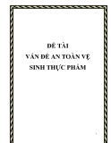 Đề tài: Vấn đề an toàn vệ sinh thực phẩm