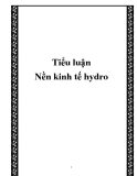 Báo cáo: " Nền kinh tế hydro"