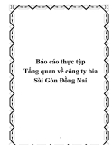 Báo cáo thực tập " tổng quan về công ty bia Sài Gòn Đồng Nai"