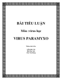 BÀI TIỂU LUẬN VIRUS PARAMYXO