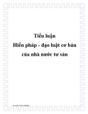 Tiểu luận - Hiến pháp - đạo luật cơ bản của nhà nước tư sản