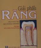 SO SÁNH HAI KỸ THUẬT TẠO MẪU SÁP TRONG THỰC HÀNH GIẢI PHẪU RĂNG (Phương pháp gọt sáp và phương pháp thêm sáp)