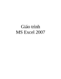 Giáo trình MS Excel 2007