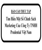 Bài báo cáo thực tập: Tìm hiểu một số chính sách Mareting của công ty TNHH Prudential Việt Nam
