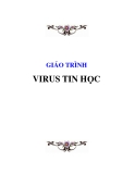 Giáo trình virus tin học