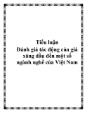 Tiểu luận: "Đánh giá tác động của giá xăng dầu đến một số ngành nghề của Việt Nam"