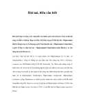 Hải mã, điều cần biết 