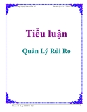 Tiểu luận về: Quản Lý Rủi Ro