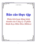 Báo cáo thực tập: Phân tích hoạt động kinh doanh của Công ty cổ phần Bánh Kẹo Biên Hòa (Bibica)