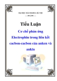 Tiểu luận: Cơ chế phản ứng Electrophin trong liên kết cacbon-cacbon của anken và ankin