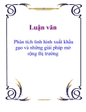 Luận văn: Phân tích tình hình xuất khẩu gạo và những giải pháp mở rộng thị trường
