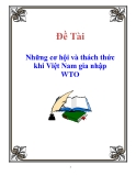 Báo cáo thực tập: Những cơ hội và thách thức khi Việt Nam gia nhập WTO