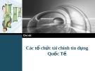 CÁC TỔ CHỨC TÍN DỤNG QUỐC TẾ