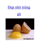 Đẹp nhờ trứng gà