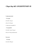 Chẹn thụ thể ANGIOTENSIN II 