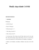 Thuốc chẹn kênh CANXIDIHYDROPYRIDINES 