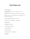 Tăng Magne máu 