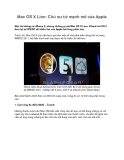 Mac OS X Lion: Chú sư tử mạnh mẽ của Apple