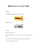 BỆNH SÁN LÁ GAN NHỎ 