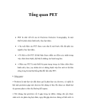Tổng quan PET 