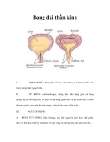 Bọng đái thần kinh 