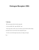 Estrogen Receptor (ER) 
