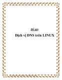 Đề tài: Dịch vị DNS trên LINUX