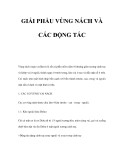 GIẢI PHẨU VÙNG NÁCH VÀ CÁC ĐỘNG TÁC 