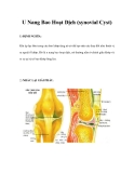 U Nang Bao Hoạt Dịch (synovial Cyst) 
