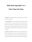 Thần Kinh Ngoại Biên Và 3 Chức Năng Lâm Sàng 