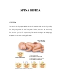 SPINA BIFIDA 