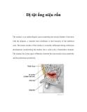 Dị tật ống niệu rốn 