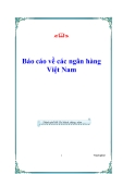 Báo cáo về các ngân hàng Việt Nam