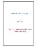 Báo cáo: Công ty cổ phần đầu tư xây dựng Hoàng Liên Sơn